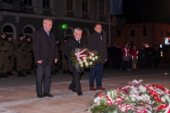 18_1111brzozow_27