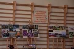 52_salamandra_05