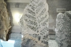 57_wroclaw_12