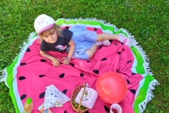 16_PIKNIK