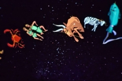 54_31_planetarium