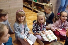 25_33_biblioteka