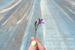 98