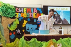 11_133_chem