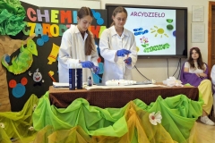 19_133_chem