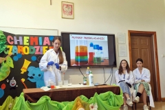 23_133_chem