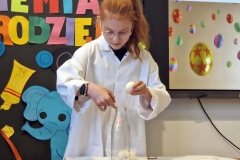 24_133_chem