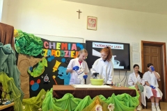 25_133_chem