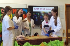 27_133_chem