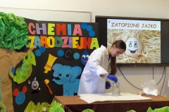 28_133_chem