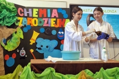 38_133_chem