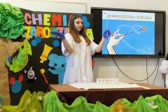 41_133_chem