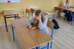 05_Wybory-SU