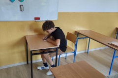 06_Wybory-SU