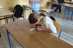 10_Wybory-SU