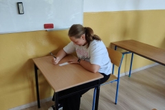 11_Wybory-SU