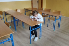 28_Wybory-SU