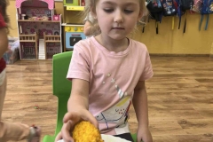 33_17_2025_Muffiny
