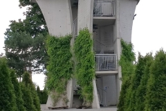 33_W